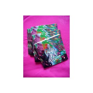 cahier 14x14cm pinupenherbe