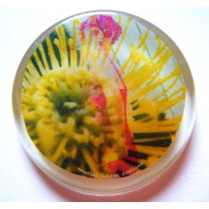 bague soleil
