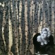 plumetis 30x30