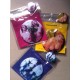 Miroirs de poche badge kit colleXion