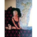 Pois trop n'en faut!1 30 X 40cm