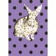 torchonlapinviolet