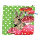 Trousse lapin amanite