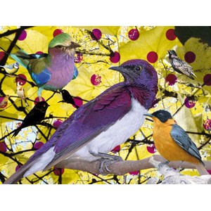 Oiseaux 60x80cm