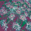 Fleursolviolet