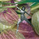 bettypicotte