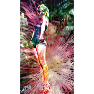 Marylinexplosion 60X110cm