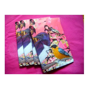 cahier A5 betty oiseaux